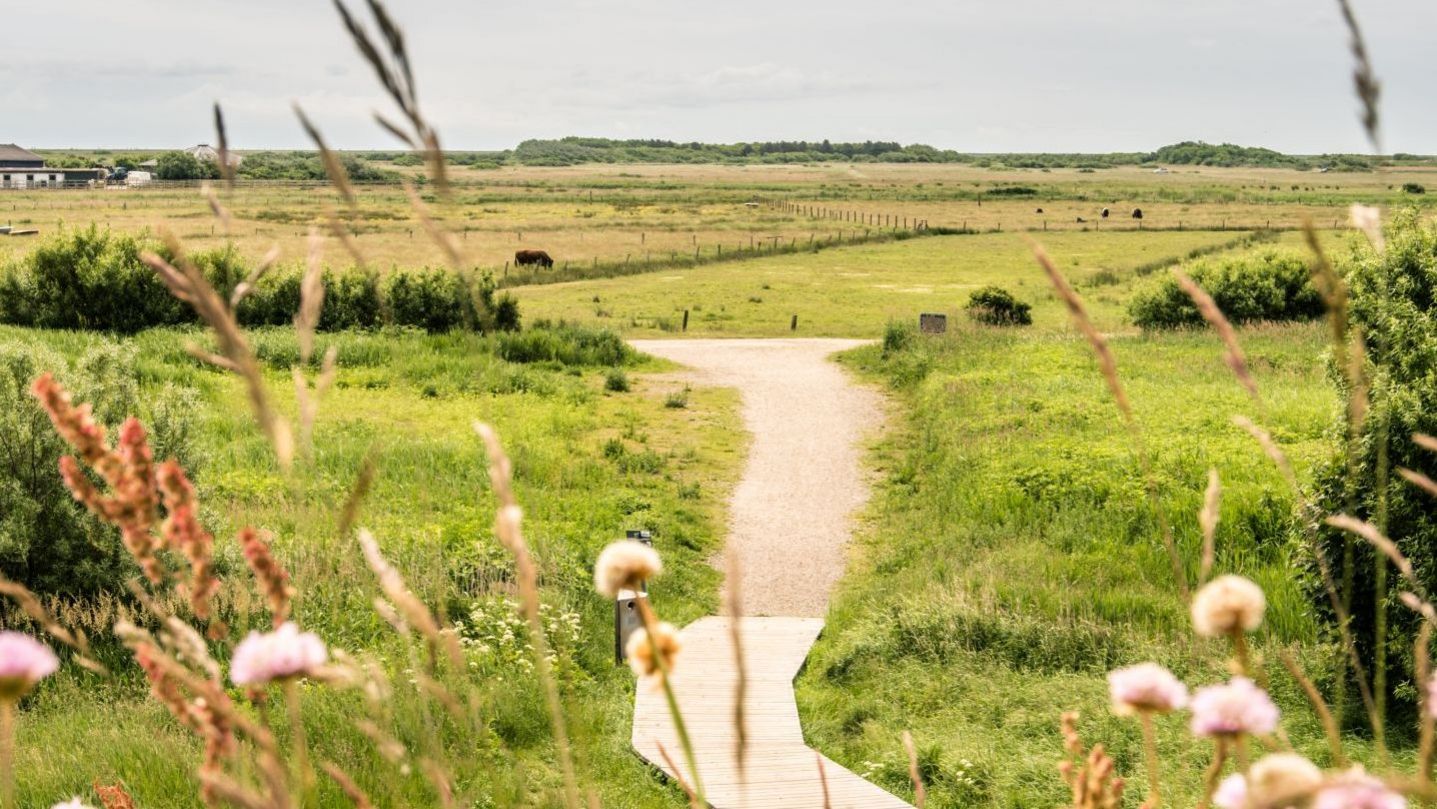 Tinnum auf Sylt: Die besten Highlights und Unterknfte