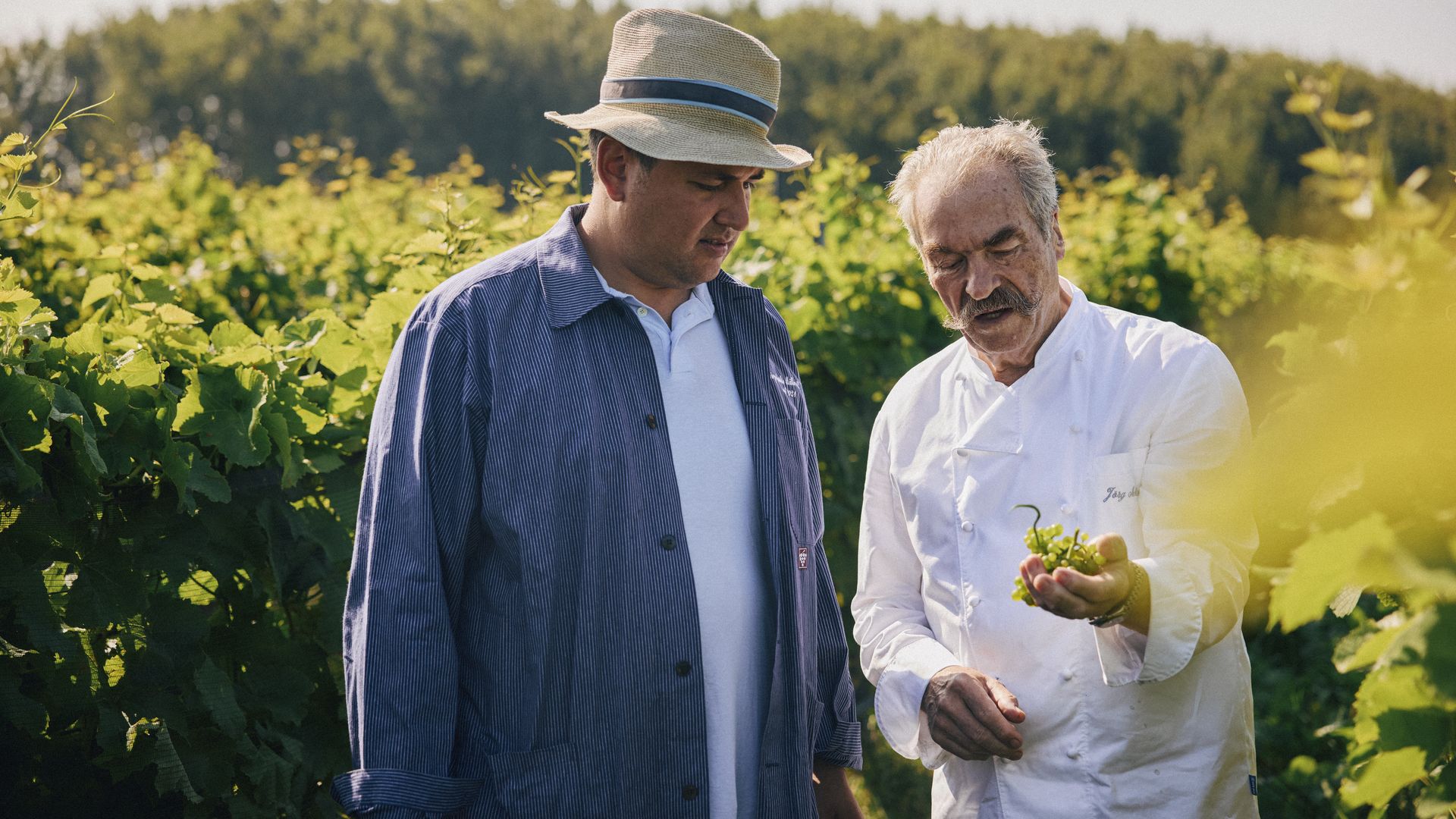 Koch zeigt Winzer eine grüne Traube im Sylter Weinberg