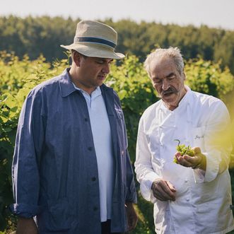 Koch zeigt Winzer eine grüne Traube im Sylter Weinberg