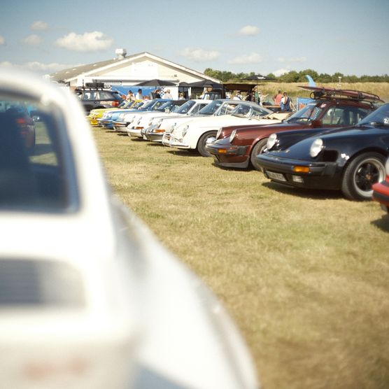 Klassische Porsche-Oldtimer stehen aufgereiht auf Wiese.