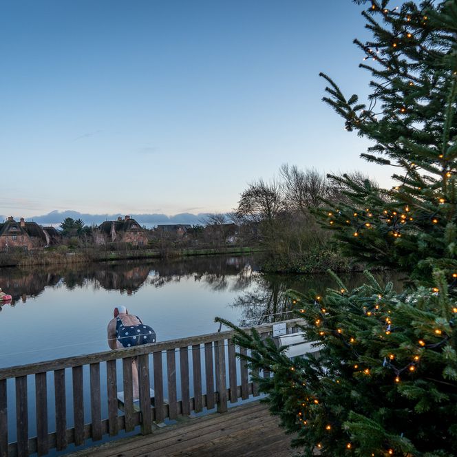 Winterabend am Dorfteich mit Weihnachtsbaum