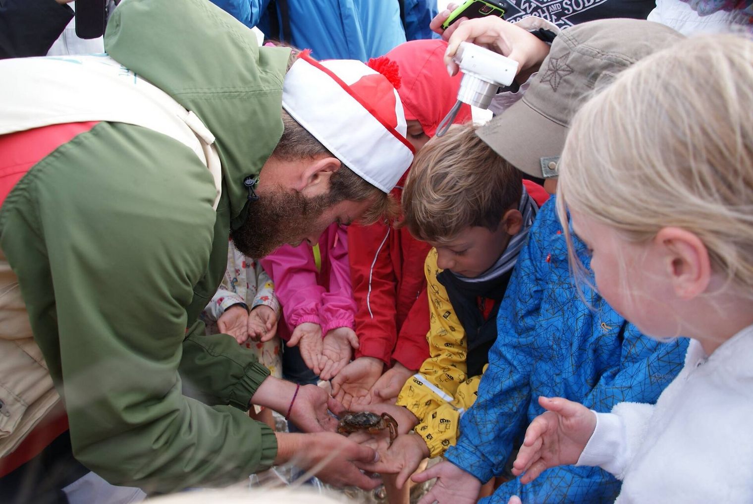 Kinder bei der Piratenwattwanderung