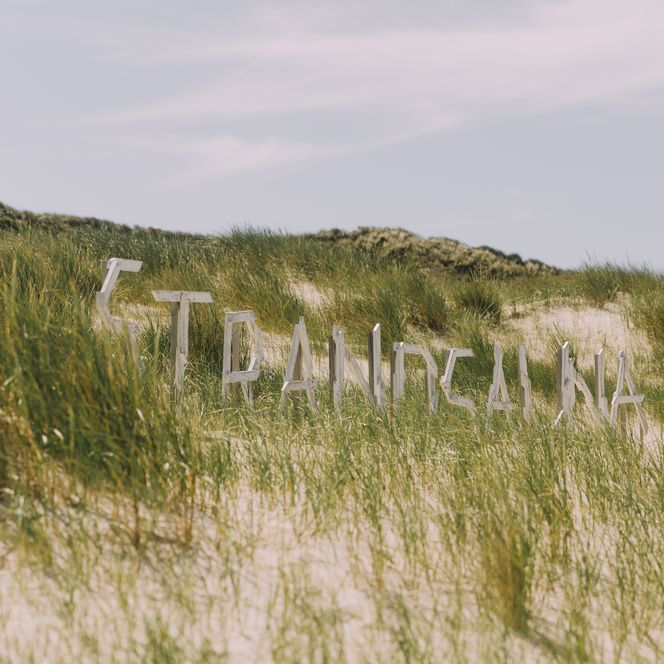 Holzschild „Strandsauna“ inmitten der Dünenlandschaft bei List auf Sylt