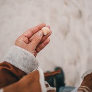 Hand hält eine kleine Muschel am Strand von Sylt, getragen von einer Person in einem braunen Mantel mit hellen Details. Unscharfer Sandboden im Hintergrund.