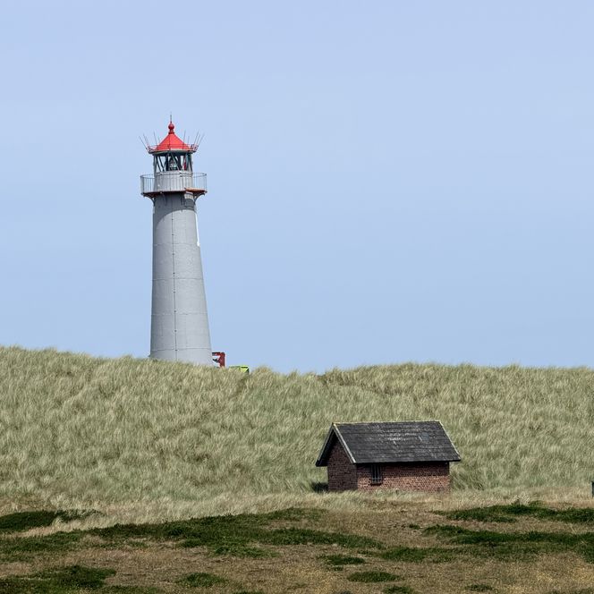 Weißer Leuchtturm mit rotem Dach hinter einer Düne. Davor steht ein kleines Backsteinhaus im Gras unter blauem Himmel.