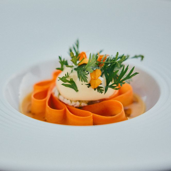 Kunstvoll angerichtetes Gourmetgericht mit Karotten und Kräutern