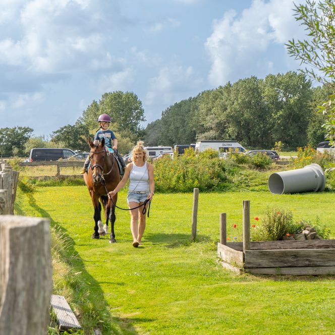 Ponyreiten beim M.-T. Buchholz Hoffest