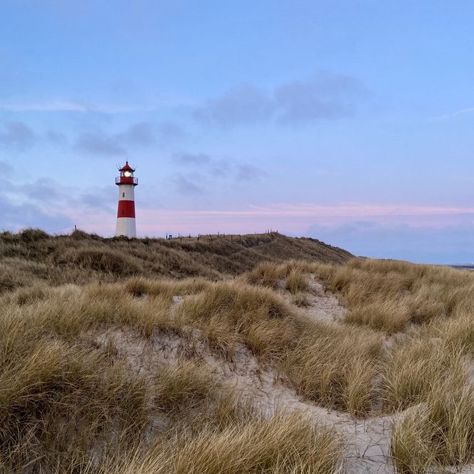 Leuchtturm List-Ost in Dünenlandschaft bei Morgendämmerung.