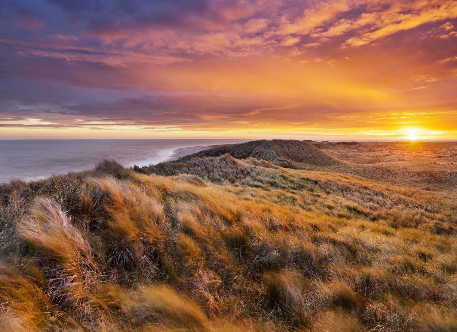 Sonnenaufgang über Dünenlandschaft am Ellenbogen auf Sylt mit Blick aufs Meer.