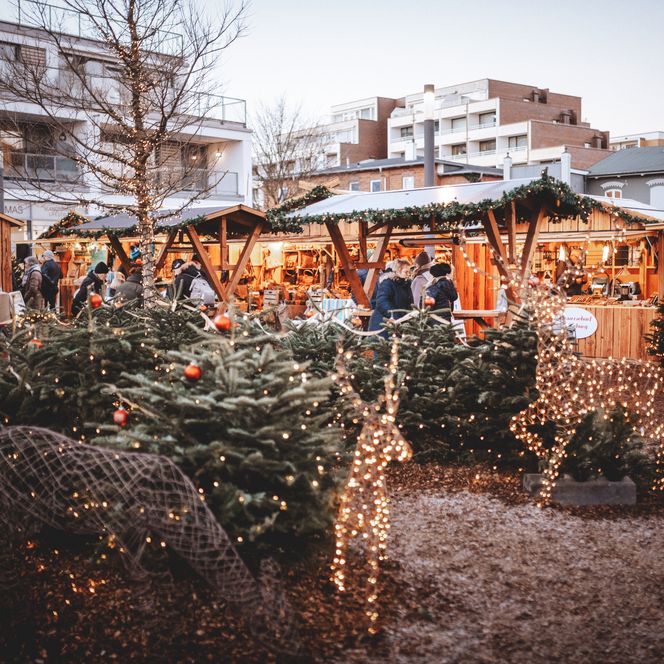 Weihnachtsmarkt mit Lichterketten, Tannenbäumen und Holzbuden auf Sylt.