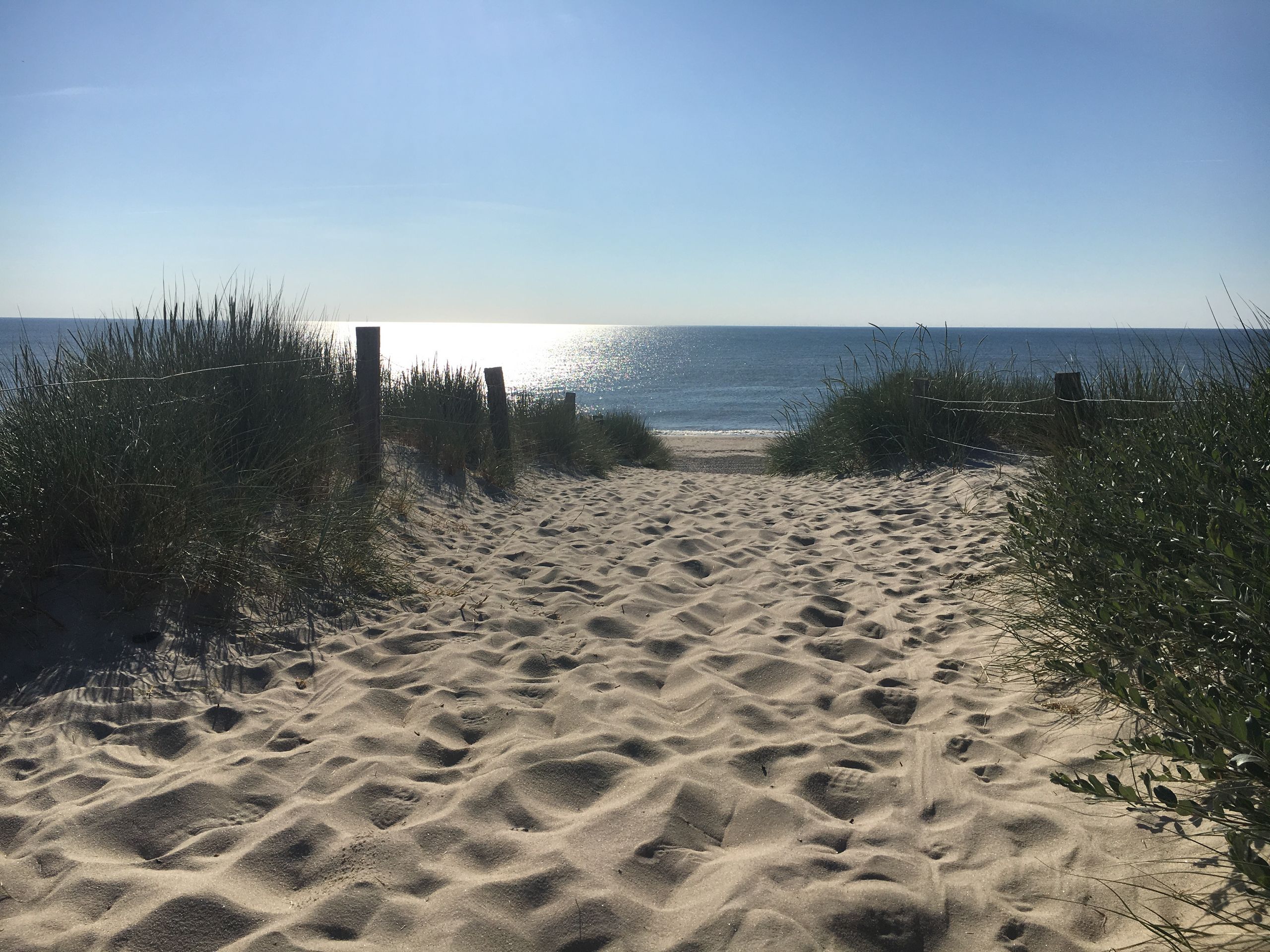 Sansibar Dunes