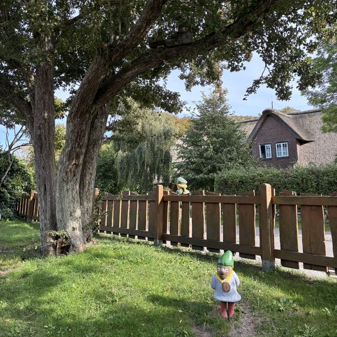 Holzfigur Nis Puk sitzt oben im Baum auf einem Spielplatz. Barrierefreiheit: Bildunterschrift