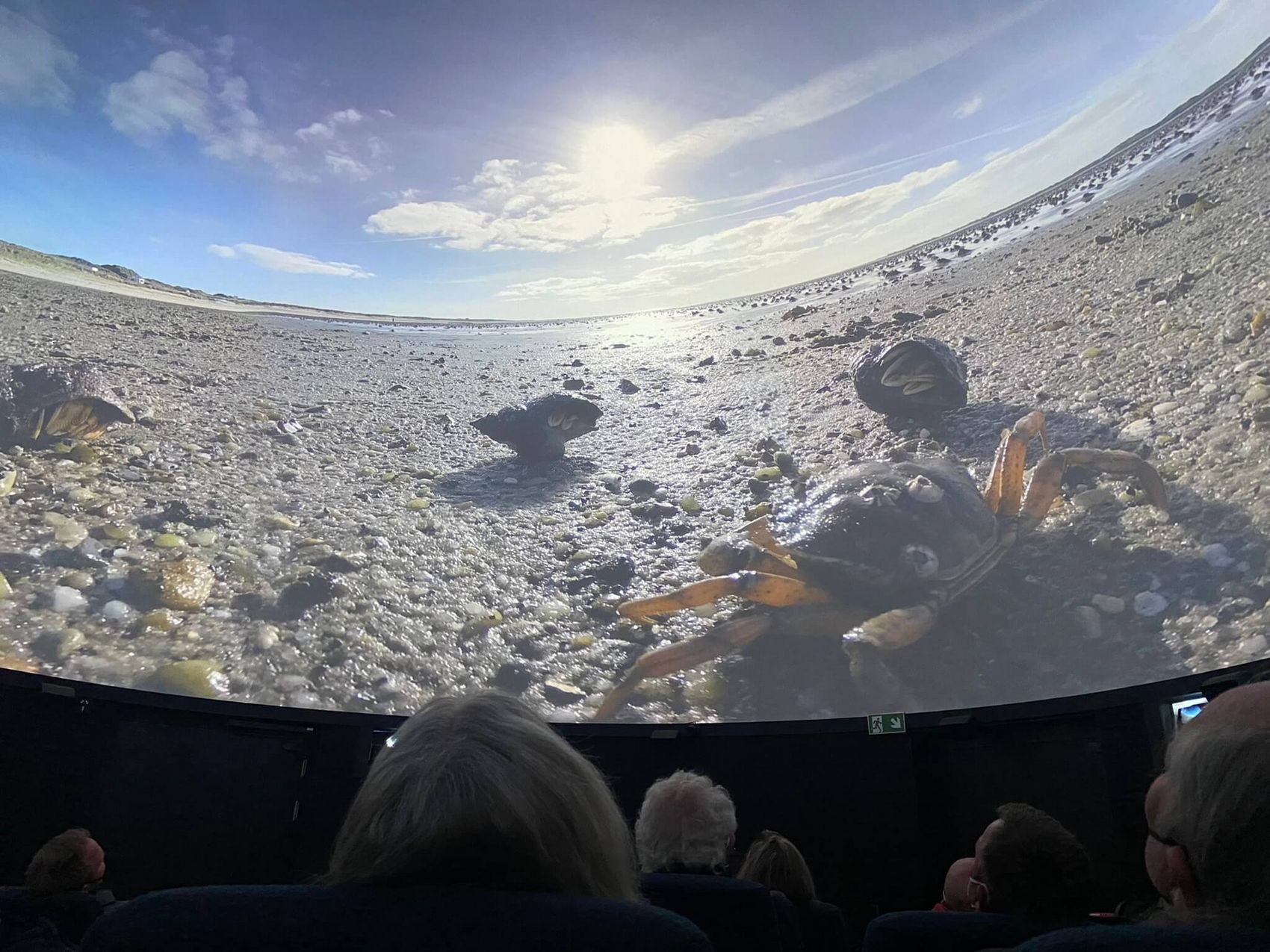 SYLTDOME - 360-Grad-Kino im Erlebniszentrum Naturgewalten