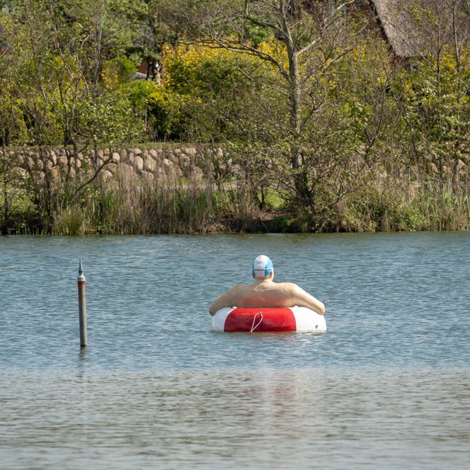Alltagsmensch Schwimmer