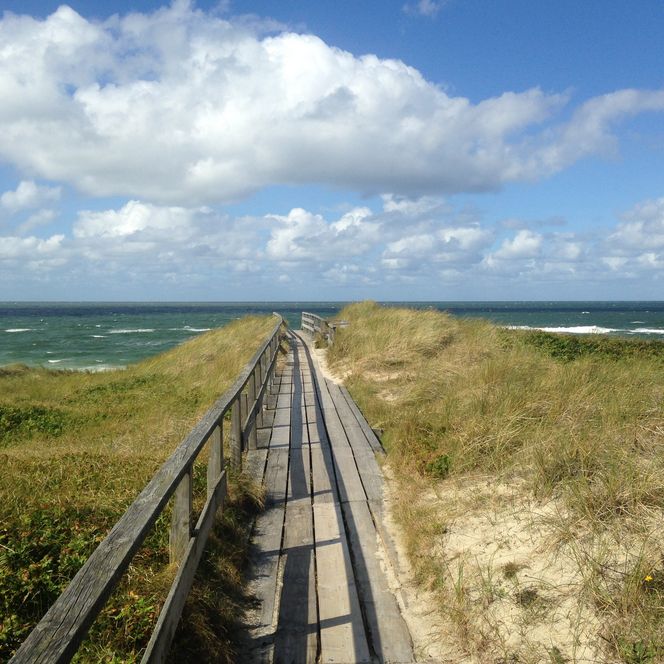 Holzweg durch Dünen führt zum Meer bei Klappholttal