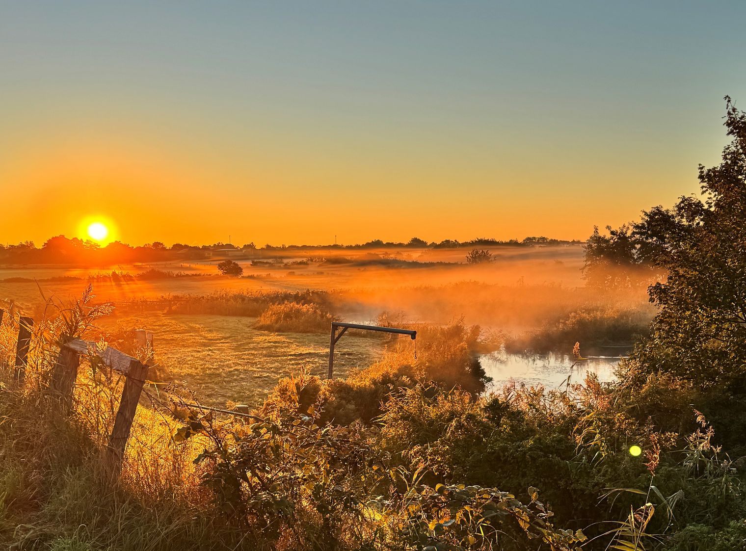 Sonnenaufgang über den Tinnumer Wiesen mit goldenem Licht, leichtem Nebel und einem rustikalen Zaun im Vordergrund.