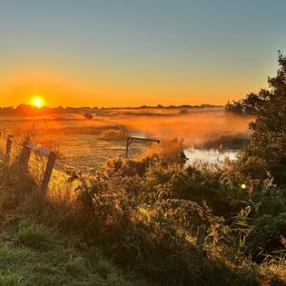 Sonnenaufgang über den Tinnumer Wiesen mit goldenem Licht, leichtem Nebel und einem rustikalen Zaun im Vordergrund.