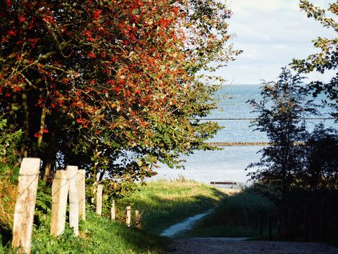 Herbstlicher Weg zum Watt mit buntem Laub, Zaun und Meerblick.