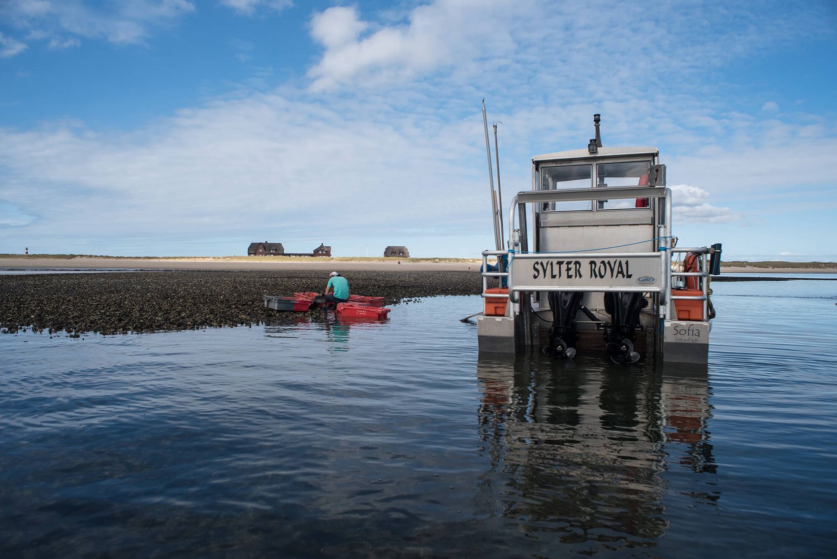 Boot ankert vor wilden Austern, die von einem Austernfischer eingesammelt werden.