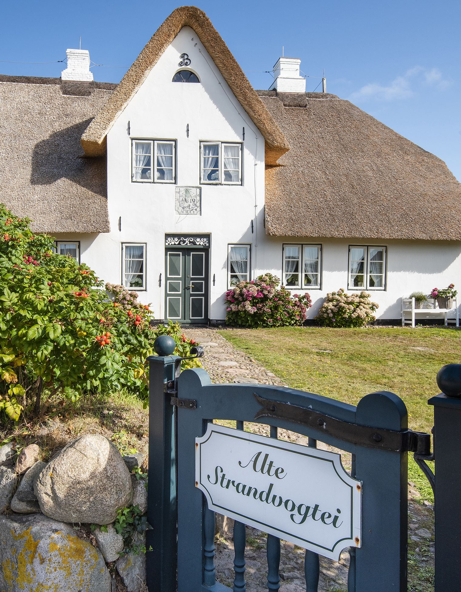 Reetgedecktes weißes Friesenhaus „Alte Strandvogtei“ in Kampen mit grünem Gartentor und blühenden Hortensien.