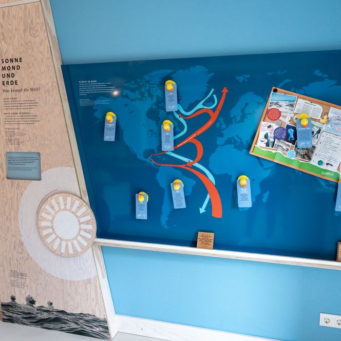 Ausstellungsraum im Naturzentrum Braderup