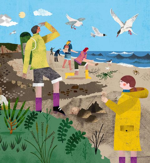 Le « Wandering » est un type de plage de Sylt.