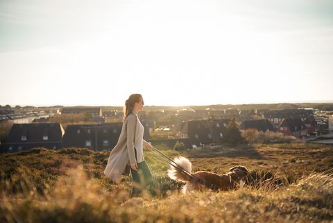 Frau geht mit Hund durch Dünenlandschaft bei Abendlicht