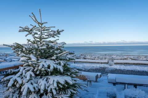 Verschneiter Weihnachtsbaum vor winterlicher Nordsee und Dünen.