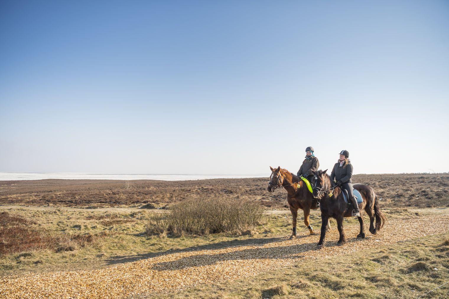 Zwei Reiterinnen mit ihren Pferden in der Braderuper Heide im Winter