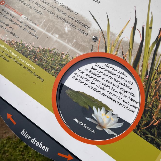 Infotafel zum Dorfteich mit Drehscheibe