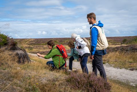 Vier Personen bei einer Wanderung beugen sich interessiert über eine Stelle auf dem Boden. 