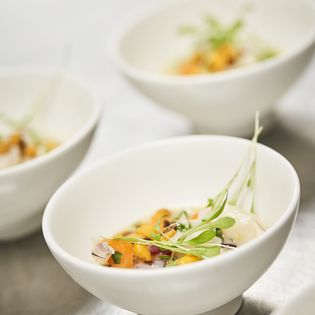 Fein angerichtetes Gourmetgericht mit Schaumsoße auf weißem Teller.