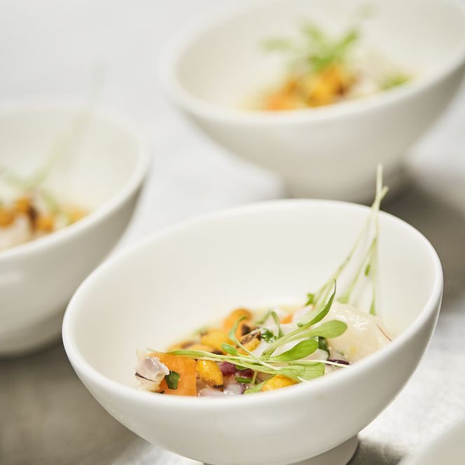 Fein angerichtetes Gourmetgericht mit Schaumsoße auf weißem Teller.