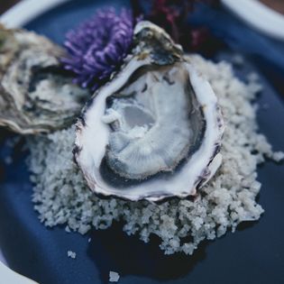 Geöffnete Auster auf Meersalz, dekoriert mit Blumen auf einem blauen Teller.