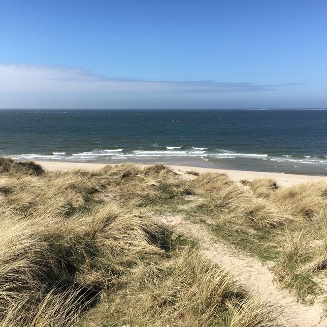 Blick über Dünengras auf den Sandstrand und das Meer am Ellenbogen auf Sylt.