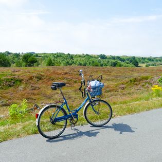 Blaues Fahrrad steht auf Straße vor grüner Hügellandschaft 