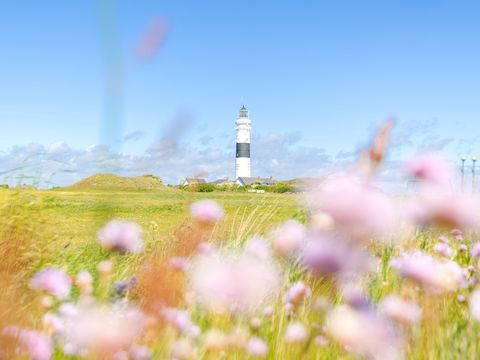 Leuchtturm Kampen mit blühender Frühlingswiese im Vordergrund unter blauem Himmel.