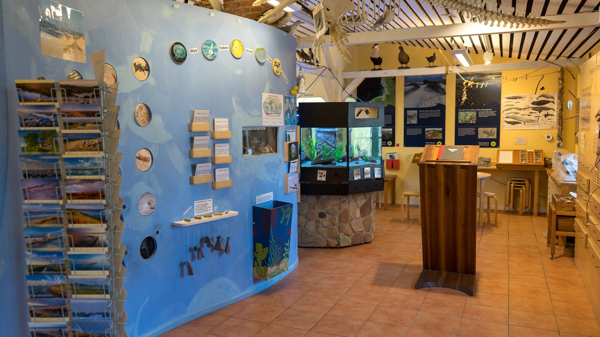 Ausstellungsraum im Naturzentrum