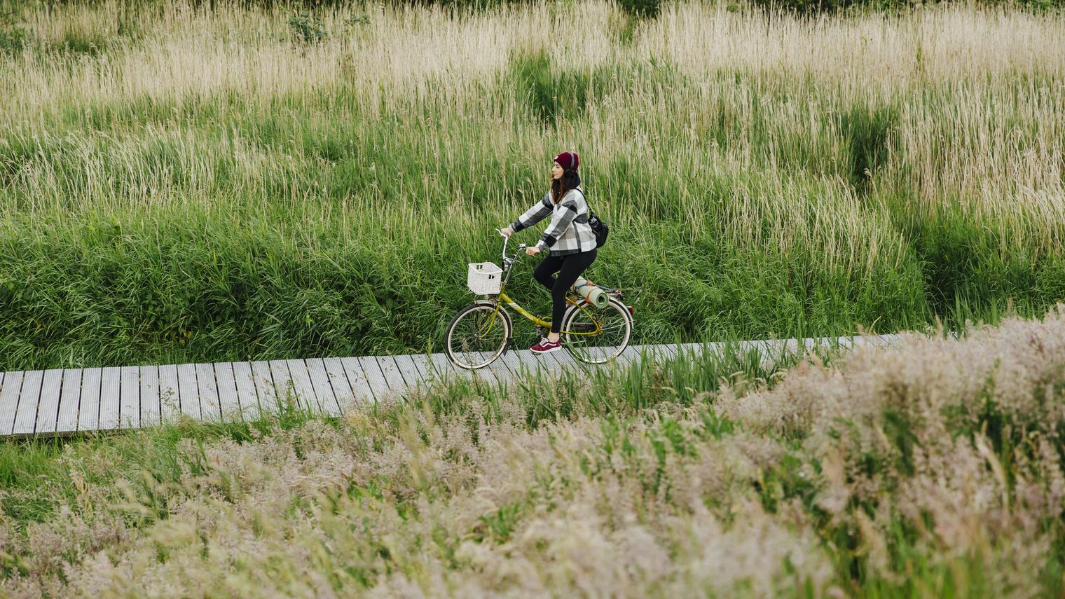Eine Frau fährt Fahrrad auf Holzweg durch grüne Wiesenlandschaft auf Sylt.
