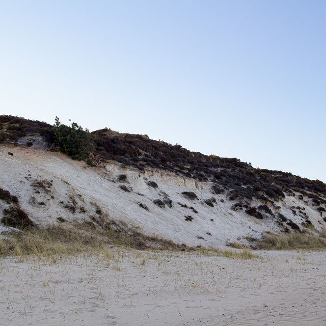 Weißes Kliff in Braderup