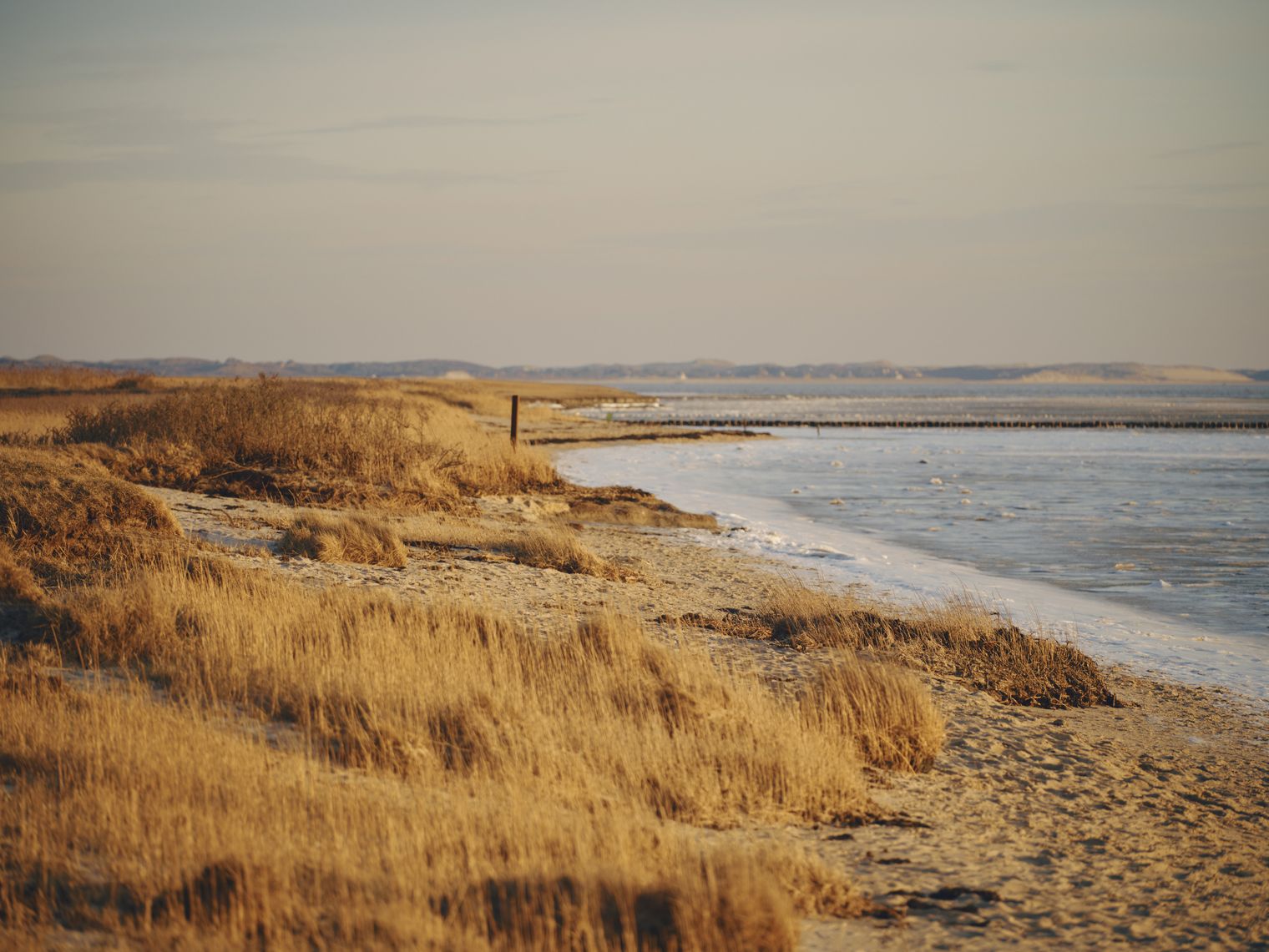 Winterliche Küstenlandschaft mit Gras und gefrorenem Wattenmeer