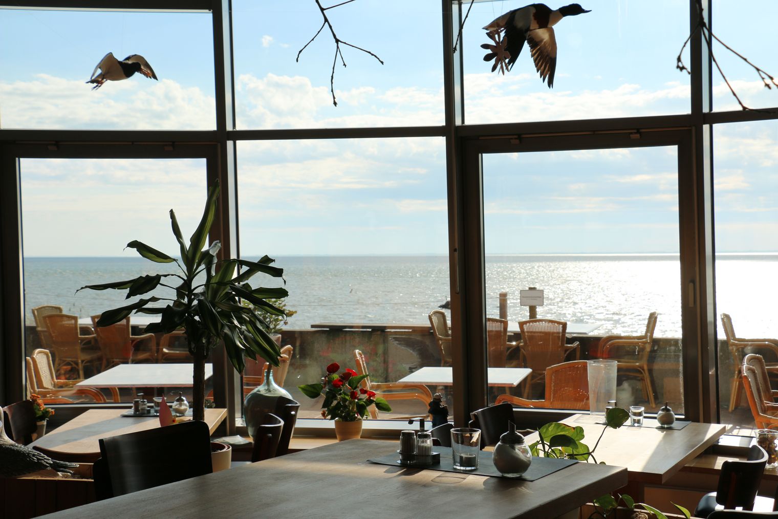 Bistro mit großen Fenstern und Meerblick, Tische innen und außen sichtbar