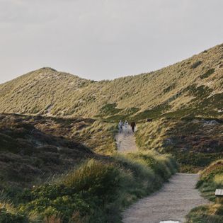 Sandiger Pfad durch grüne Dünenlandschaft mit vier Personen beim Spaziergang.