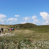 Gruppe wandert durch grüne Dünenlandschaft unter blauem Himmel.