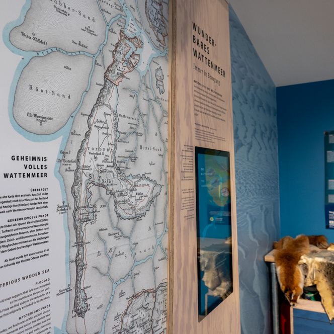 Ausstellung im Naturzentrum Brader zum Thema Wattenmeer