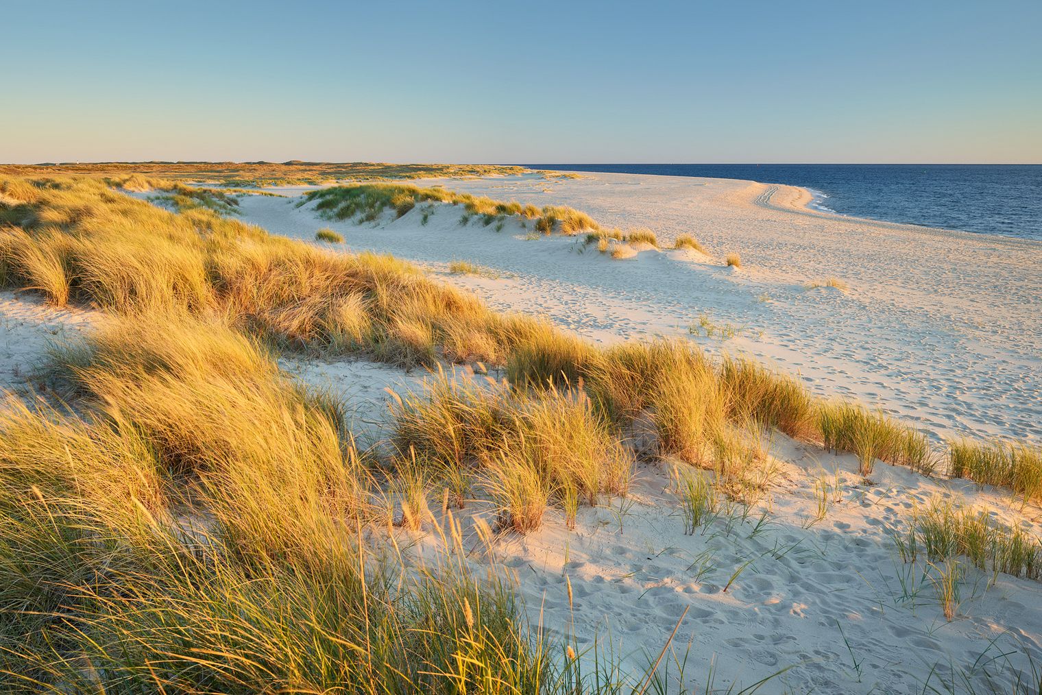 Strand und Dünenlandschaft am Ellenbogen auf Sylt bei Abendlicht.