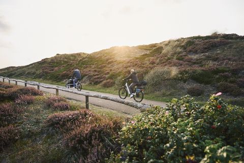 Zwei Radfahrer fahren auf einem Weg durch die hügelige Dünenlandschaft, umgeben von Heide und Gras. 