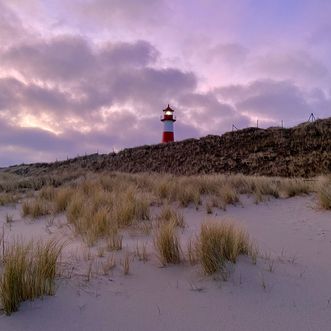 Leuchtturm List-Ost hinter Dünen unter rosa-violettem Abendhimmel.