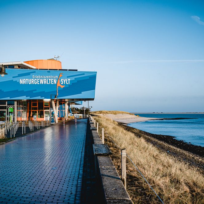 Blaues Gebäude des Erlebniszentrums Naturgewalten direkt an der Küste von List