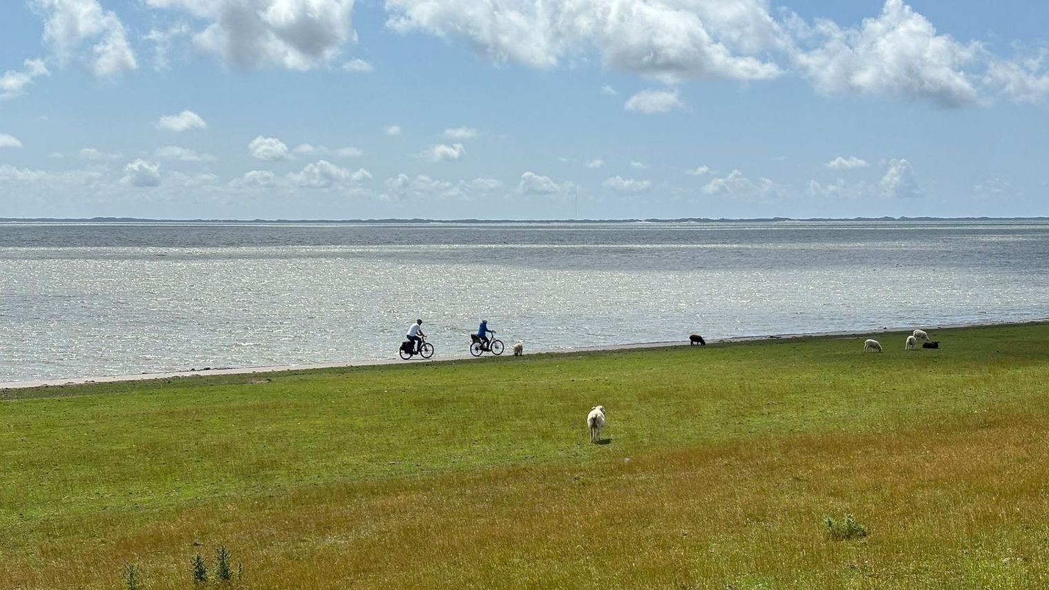 Fahrradfahrer auf Deichweg mit Blick aufs Wattenmeer